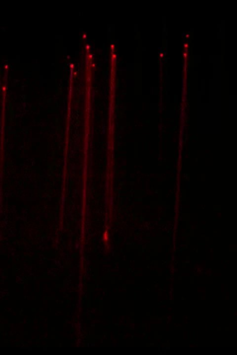 Laser Matrix — instalacja laserowa · LEM STUDIO